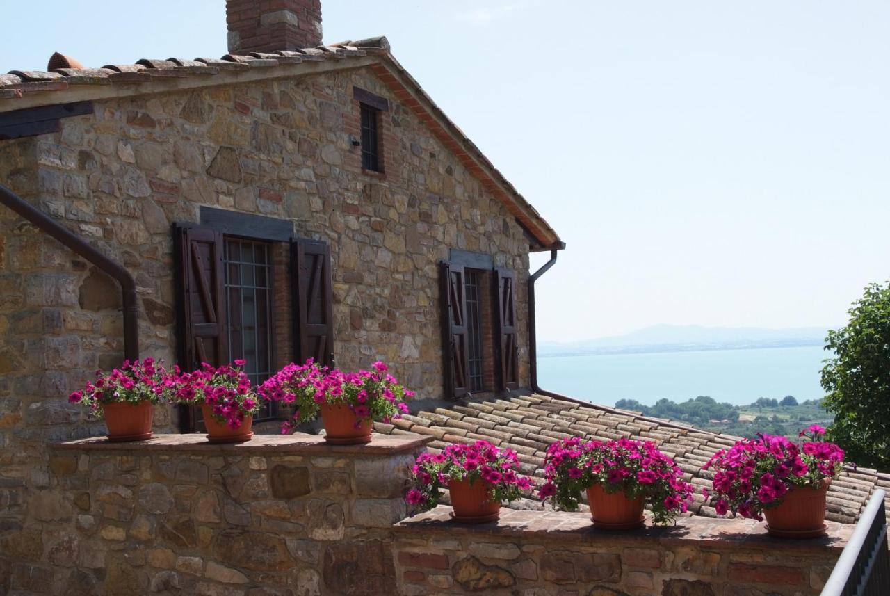 Agriturismo Panorama Sul Lago 特拉西梅诺湖畔帕西尼亚诺 外观 照片