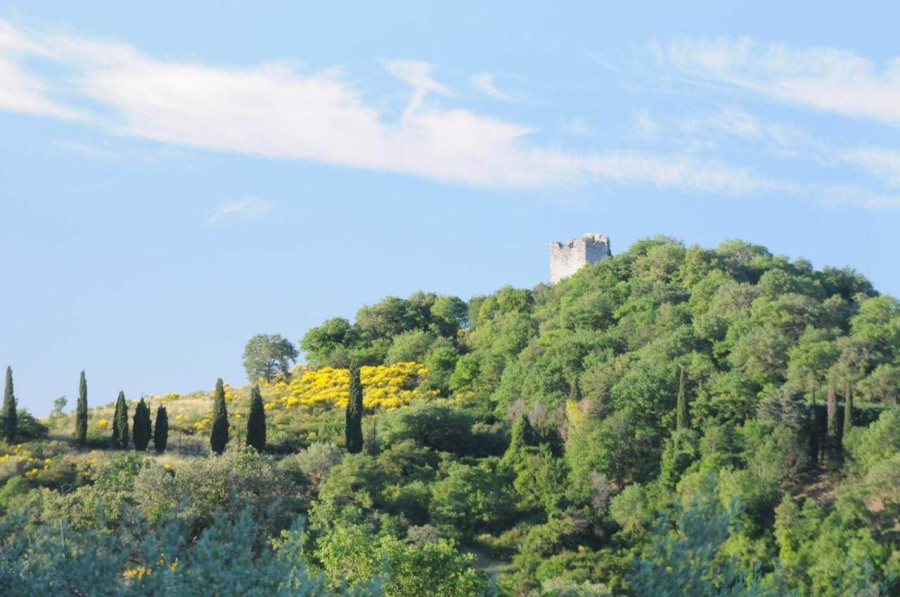 Agriturismo Panorama Sul Lago 特拉西梅诺湖畔帕西尼亚诺 外观 照片