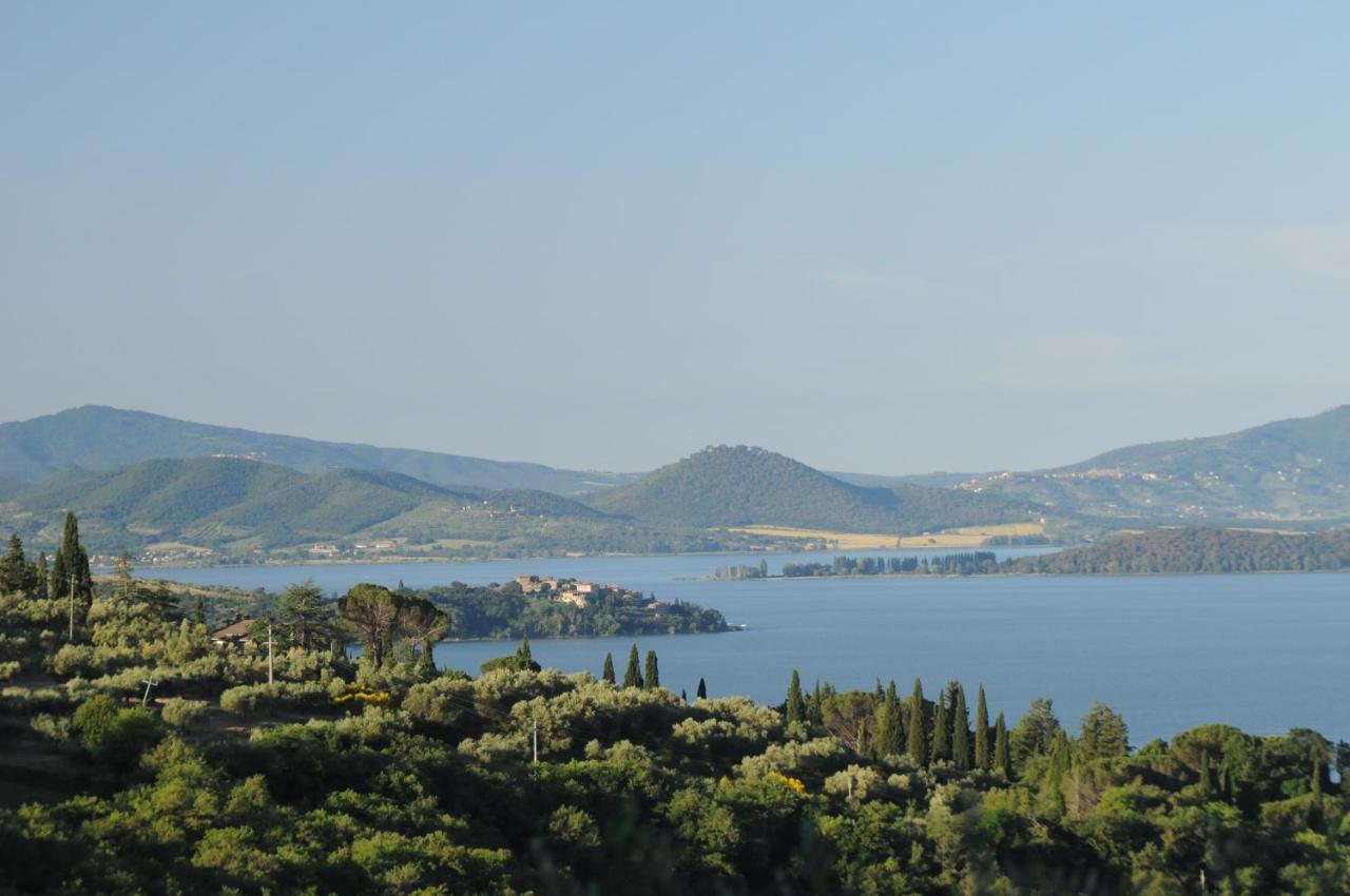 Agriturismo Panorama Sul Lago 特拉西梅诺湖畔帕西尼亚诺 外观 照片