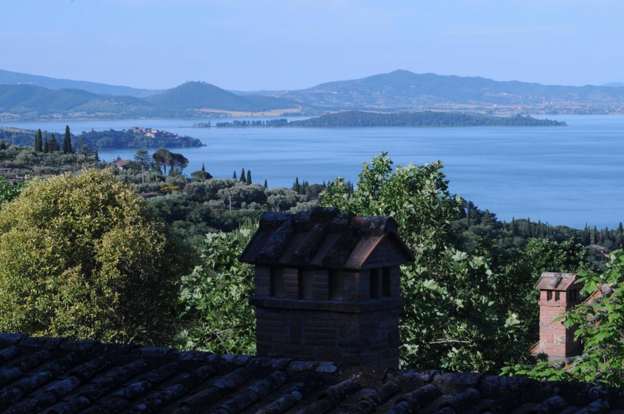 Agriturismo Panorama Sul Lago 特拉西梅诺湖畔帕西尼亚诺 外观 照片