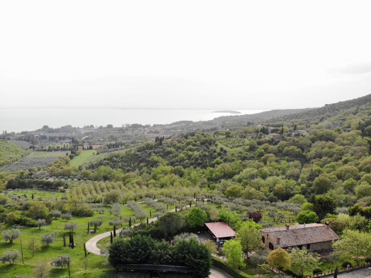 Agriturismo Panorama Sul Lago 特拉西梅诺湖畔帕西尼亚诺 外观 照片