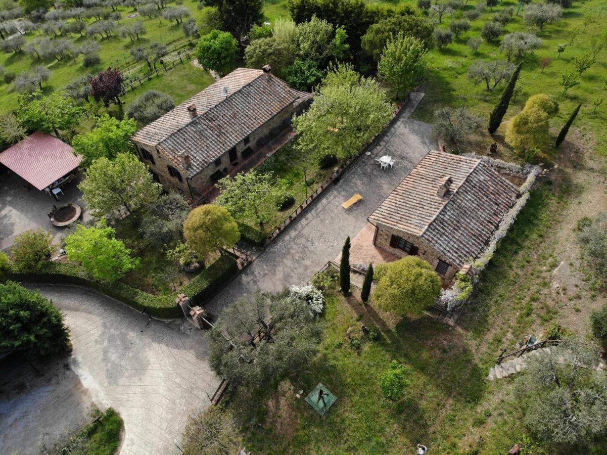 Agriturismo Panorama Sul Lago 特拉西梅诺湖畔帕西尼亚诺 外观 照片