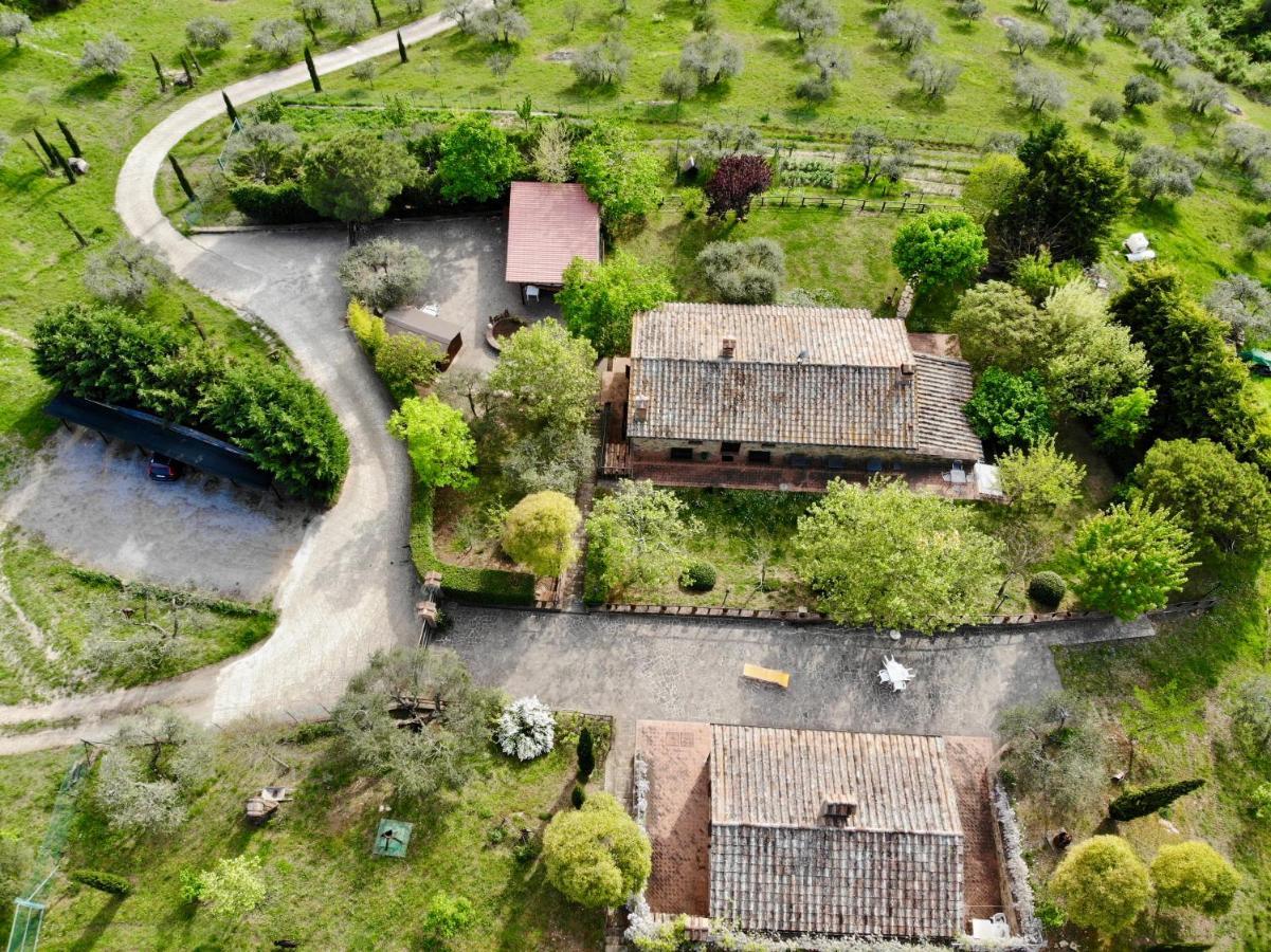 Agriturismo Panorama Sul Lago 特拉西梅诺湖畔帕西尼亚诺 外观 照片